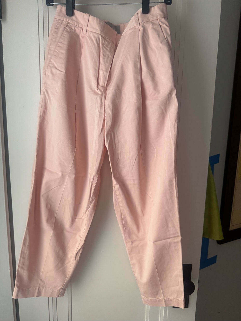 Everlane Pastel Pink Pleated Khaki Trousers